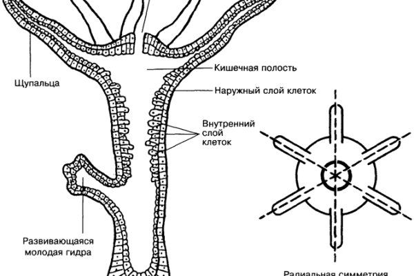 Сайт мега мориарти ссылки