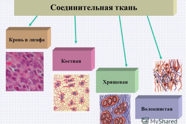 Мега ссылка megadarknet help